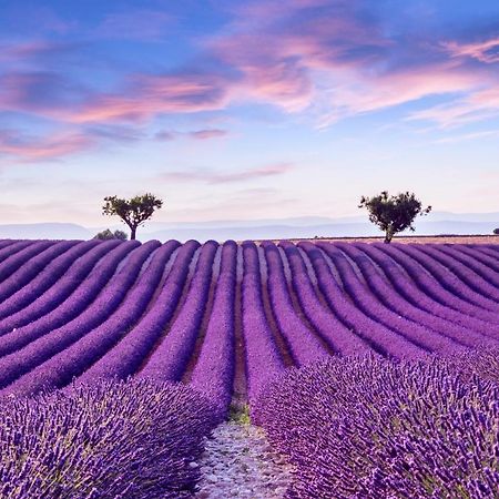 La Maison Des Collines Allemagne-en-Provence Εξωτερικό φωτογραφία