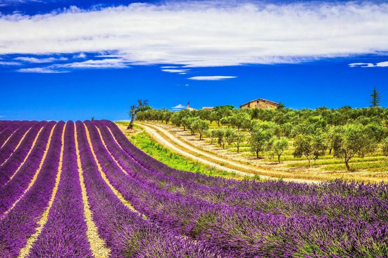 La Maison Des Collines Allemagne-en-Provence Εξωτερικό φωτογραφία